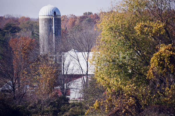 őszi színek Wisconsin USA Stock fotó © benkrut