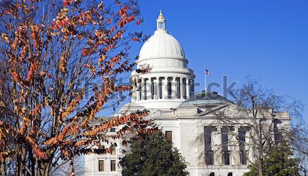 Trenton - State Capitol Building Stock photo © benkrut