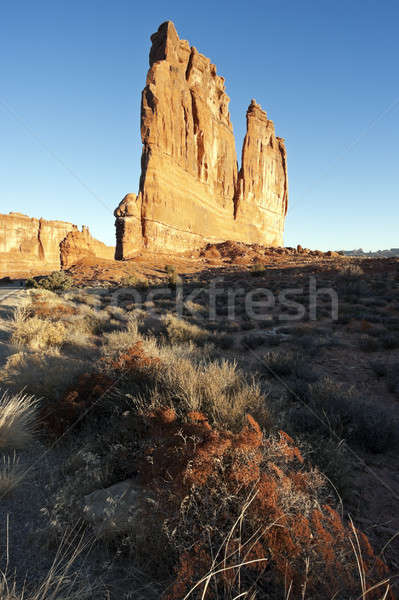 Courthouse Towers, Arches National Park Stock photo © benkrut
