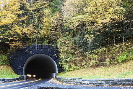 Túnel enfumaçado montanhas parque estrada Tennessee Foto stock © benkrut