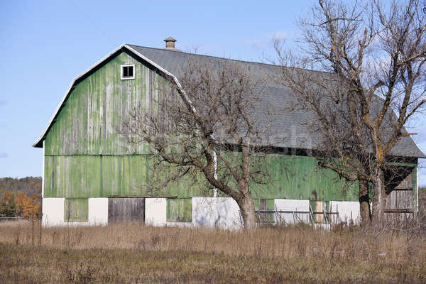 Zöld csőr ősz idő Wisconsin Stock fotó © benkrut