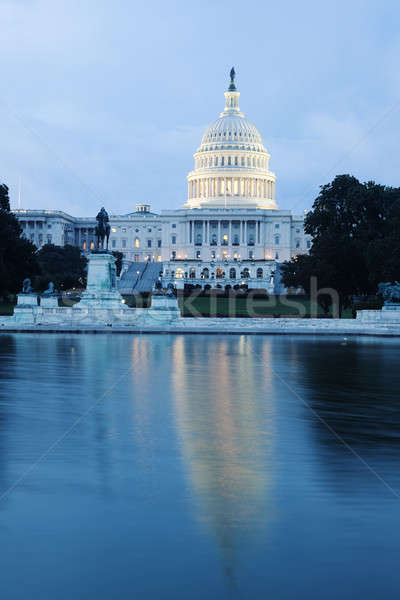 The US Capitol Stock photo © benkrut