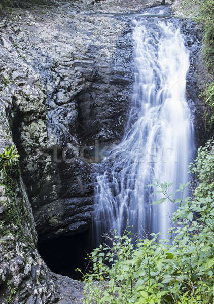 Wodospady parku queensland Australia charakter Zdjęcia stock © benkrut
