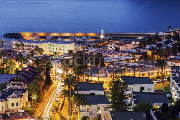 Panorama of Puerto de la Cruz Acantilados de los Gigantes Stock photo © benkrut