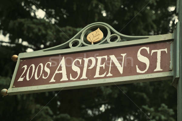 Aspen Street Stock photo © benkrut