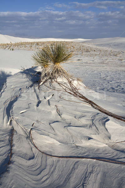 Areia branca parque Novo México céu natureza viajar Foto stock © benkrut