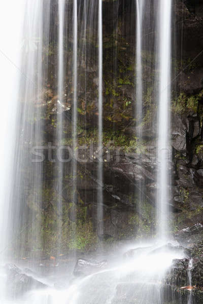 Grotto Falls Stock photo © benkrut