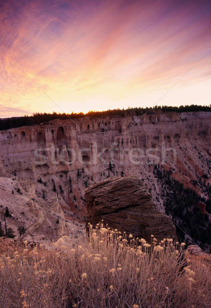 Sunrise Panorama in Bryce National Park  Stock photo © benkrut