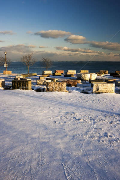 Winter in Chicago Stock photo © benkrut