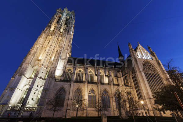 Santo cattedrale regione Belgio cielo città Foto d'archivio © benkrut