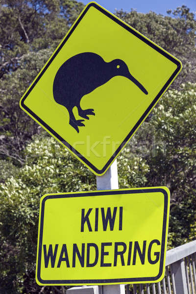 Kiwi wandering sign  Stock photo © benkrut