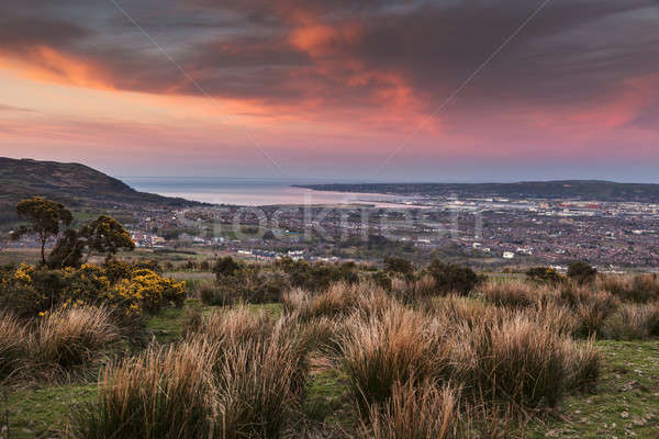 Panorama Belfast gün batımı kuzey İrlanda Stok fotoğraf © benkrut