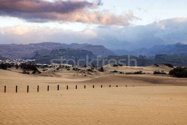 Sand Dunes in Maspalomas Stock photo © benkrut