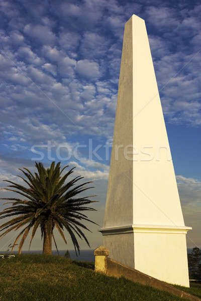 Monument on the hill Stock photo © benkrut