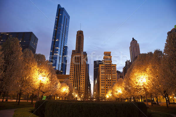 Chicago arhitectură parc Illinois SUA cer Imagine de stoc © benkrut