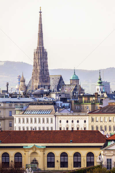 Vienna panorama with St. Stephen's Cathedral Stock photo © benkrut