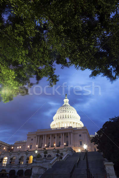 The Capitol Stock photo © benkrut