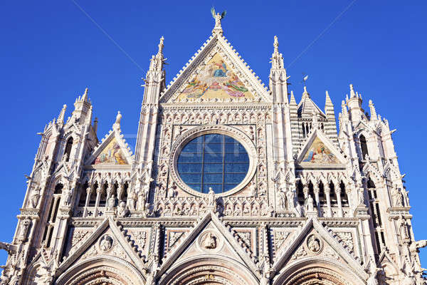 Siena Cathedral in Siena Stock photo © benkrut