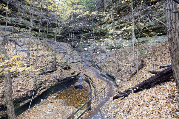 Colors of Starved Rock State Park Stock photo © benkrut