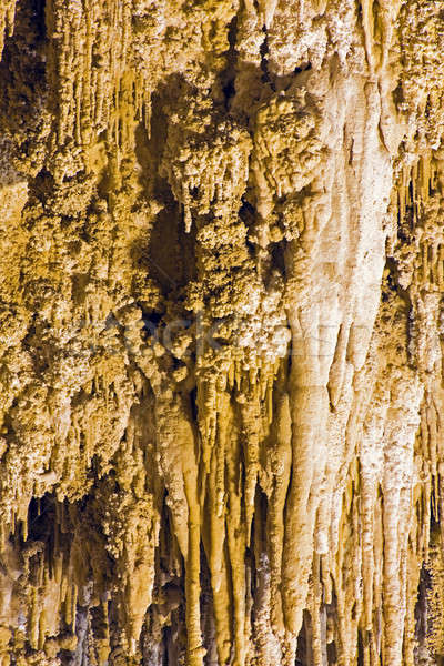 Park New Mexico landschap rock steen ondergrondse Stockfoto © benkrut