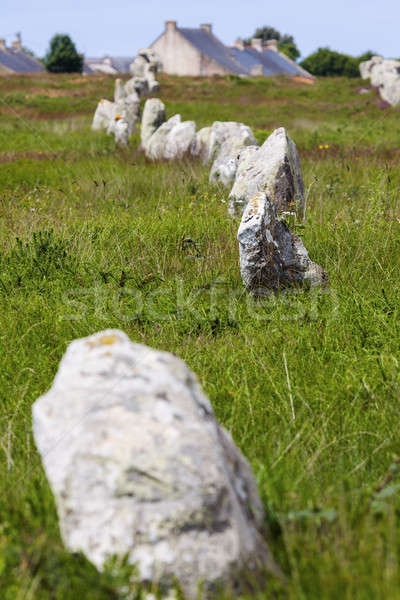Carnac stones Stock photo © benkrut