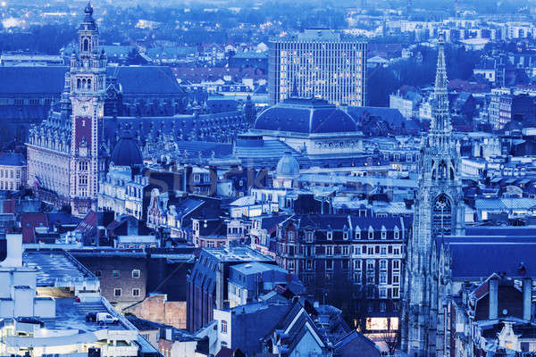 Aerial view of Lille Stock photo © benkrut