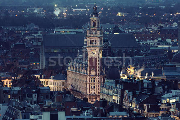 Aerial view of Lille Stock photo © benkrut