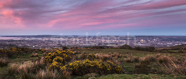 Panorama Belfast puesta de sol Irlanda Reino Unido Foto stock © benkrut
