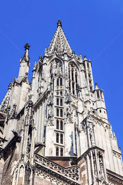 Monumentalny niebo kościoła niebieski miejskich panoramę Zdjęcia stock © benkrut