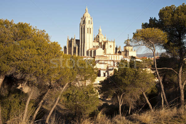 Cathedral in Segovia  Stock photo © benkrut