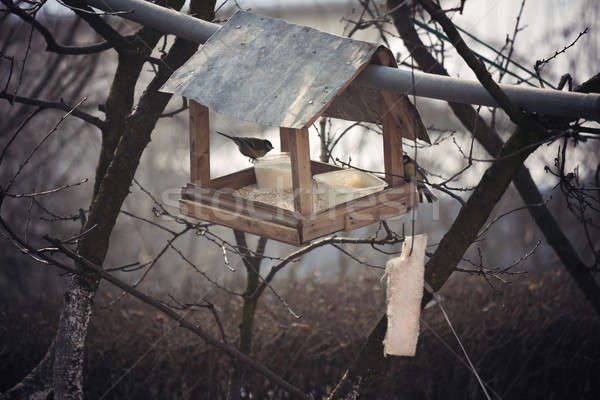 Bird house   Stock photo © benkrut