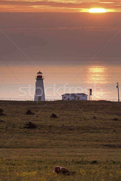 Enragée Point Lighthouse - Nova Scotia, Canada Stock photo © benkrut