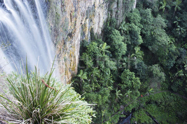 Tamborine Waterfall in Tamborine National Park  Stock photo © benkrut
