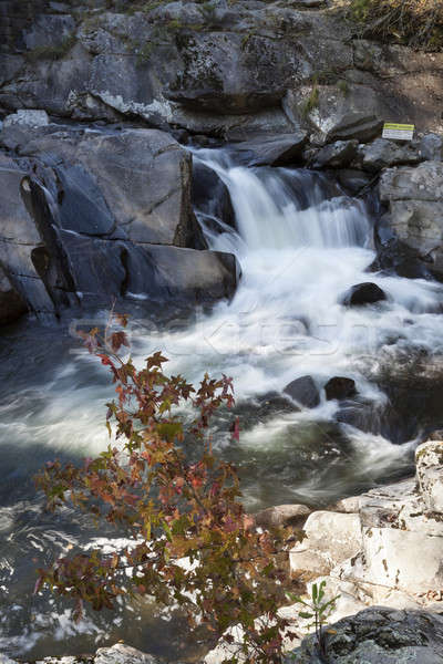 Wasserfall rauchig Berge Bach Stock foto © benkrut