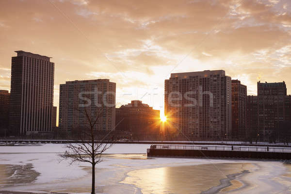 Winter in Chicago Stock photo © benkrut