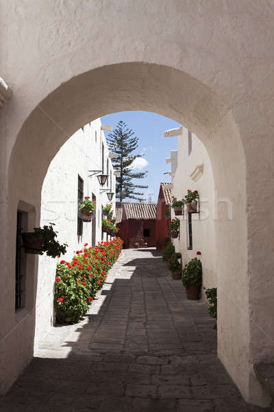 Monasterio de Santa Catalina in Arequipa  Stock photo © benkrut