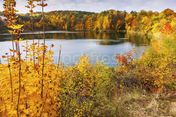 Turquoise Lake  Stock photo © benkrut
