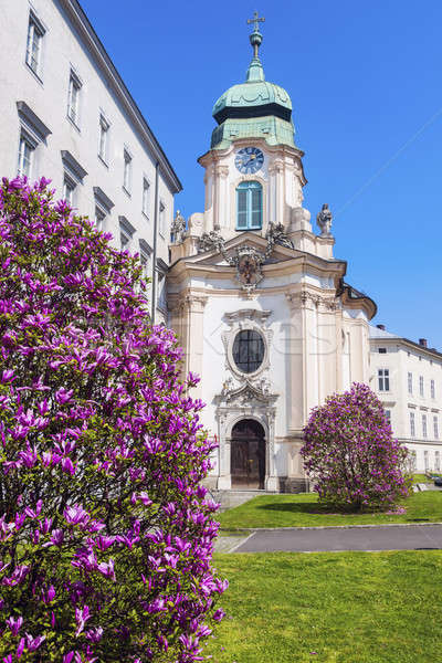 Priesterseminarkirche in Linz. Stock photo © benkrut