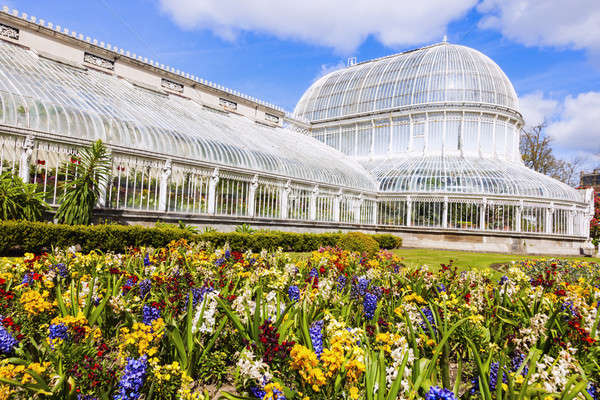 Palm House in Belfast Stock photo © benkrut