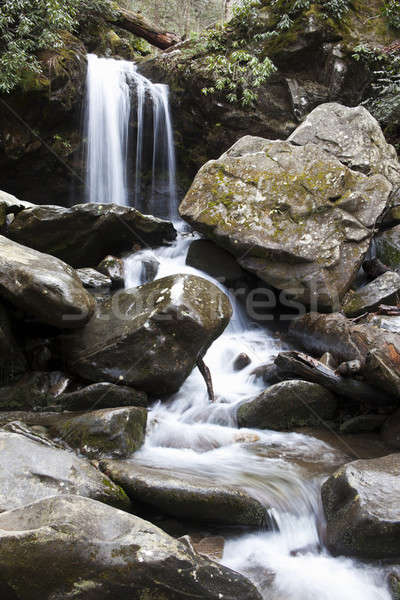 Grotto Falls Stock photo © benkrut