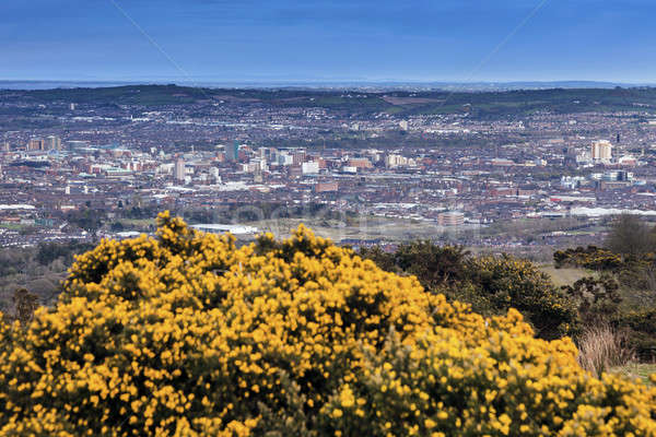 Aerial panorama of Belfast Stock photo © benkrut