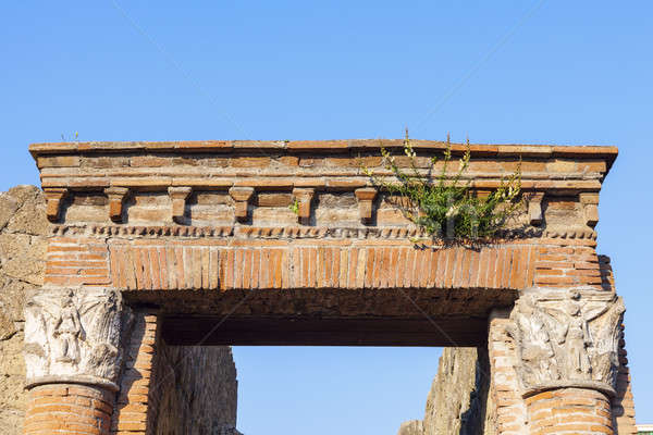 Ruins of Herculaneum Stock photo © benkrut