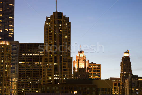 Stock photo: Night in Chicago