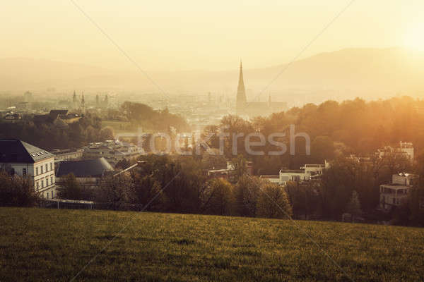 Linz panorama at sunrise Stock photo © benkrut