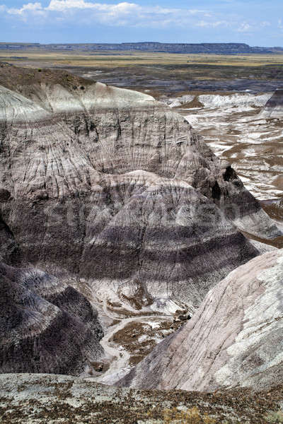 Badlands in Arizona Stock photo © benkrut