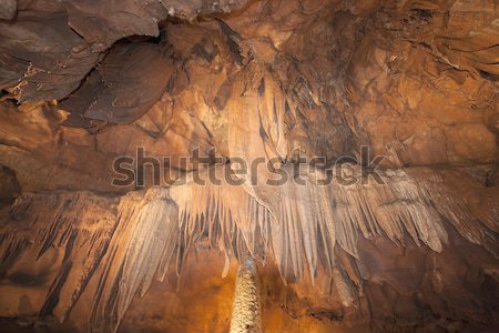Mamoth Cave National Park Stock photo © benkrut