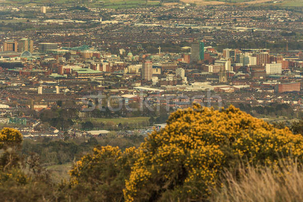 Panorama Belfast kuzey İrlanda Büyük Britanya Stok fotoğraf © benkrut