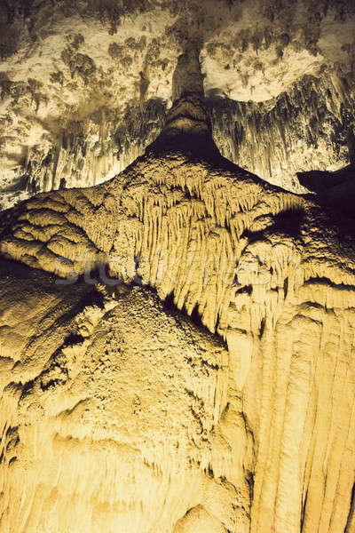 Carlsbad Caverns Stock photo © benkrut