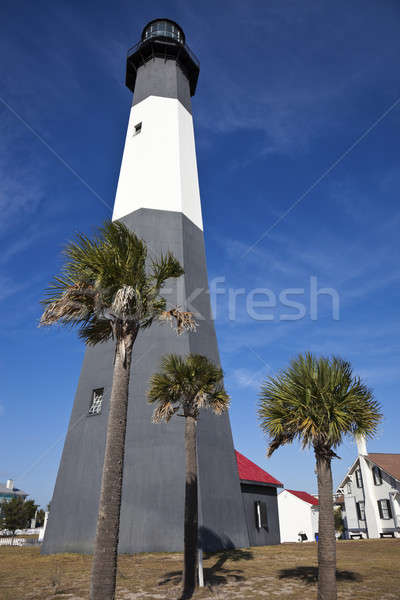 Tybee Island Lighthouse  Stock photo © benkrut