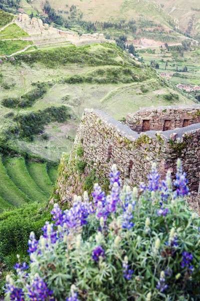 Rovine sacro valle Perù verde pietra Foto d'archivio © benkrut
